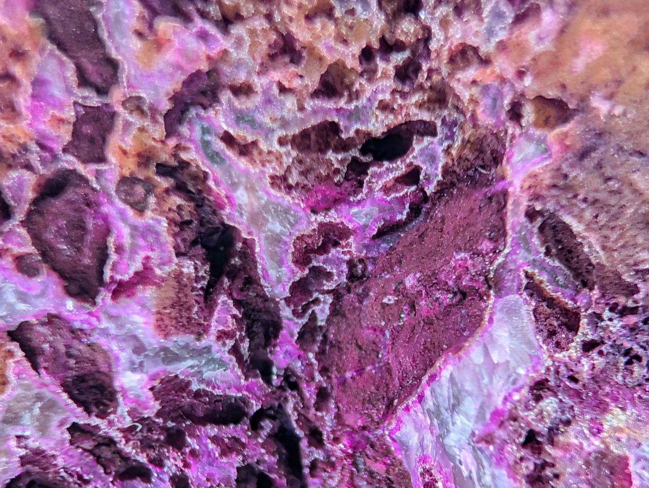 The back, with the natural rind
