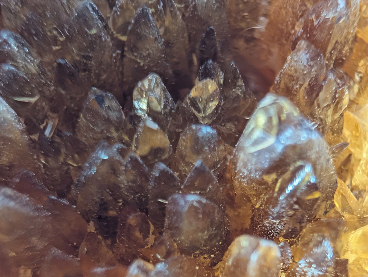 The terminations, up close