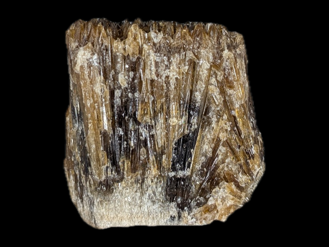 The side: columns from a white base