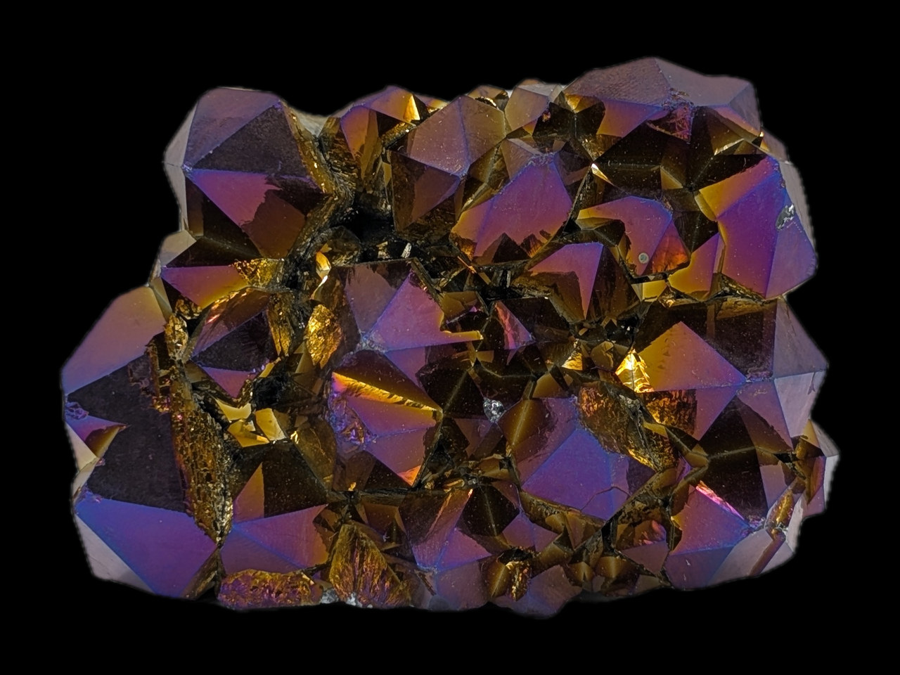 The Peacock Cluster: The whole cluster